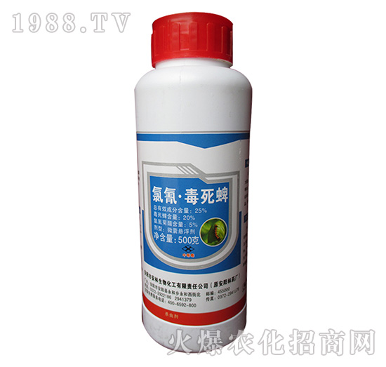 25%���趾����-����