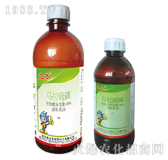 45%�R����������-��������