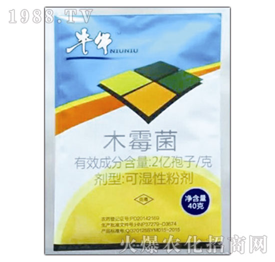 ľù��-ţţ-�A�̻���