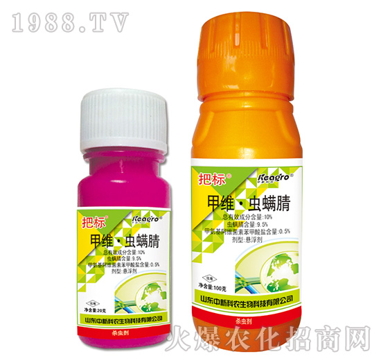 10%�׾S���x(ch��ng)����-�ј�(bi��o)-���¿��r(n��ng)