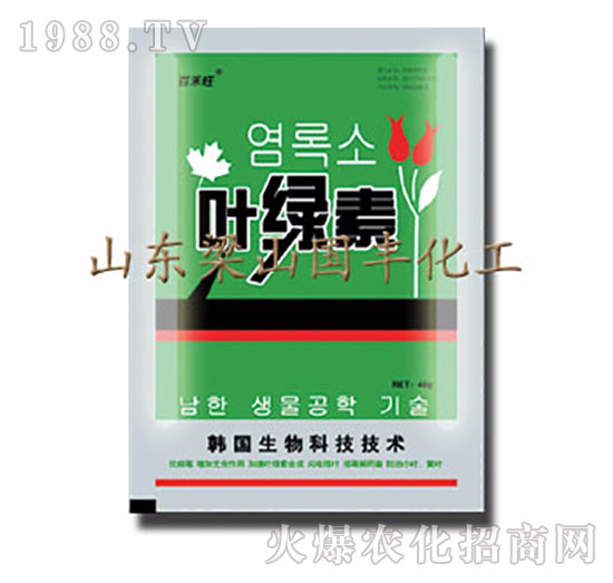 �~�G�أ�����-��ɽ���S