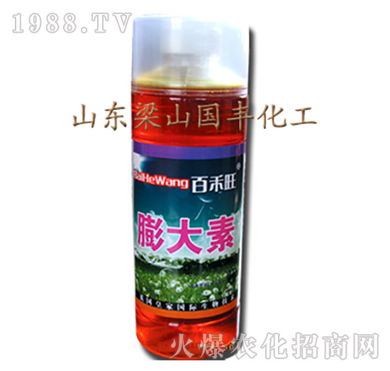 ����أ�ƿ��-��ɽ���S