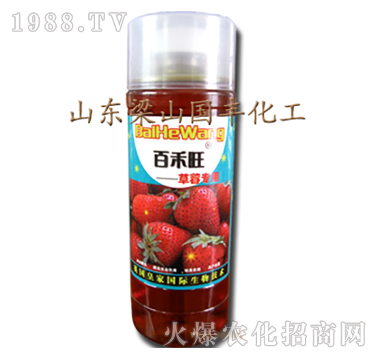 ��ݮ�����~���-��ɽ��(gu��)�S