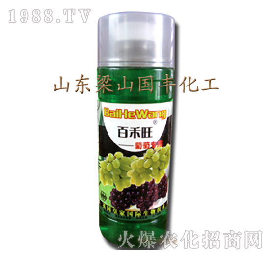 ���ь�(zhu��n)���~���-��ɽ��(gu��)�S