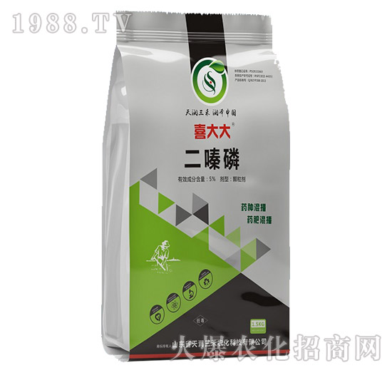 5%�����-ϲ���-�읙����