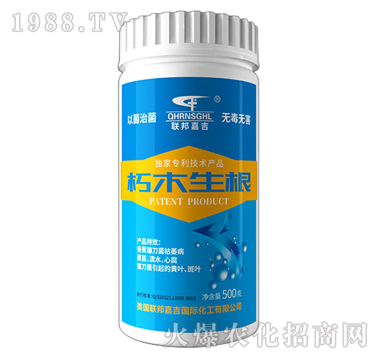 ��ľ����-(li��n)��μ�