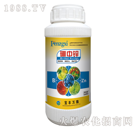 �����\-���S�f¡