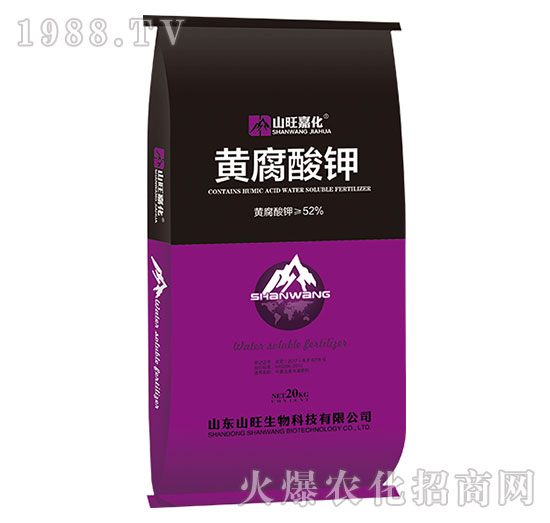 �S�����-ɽ������