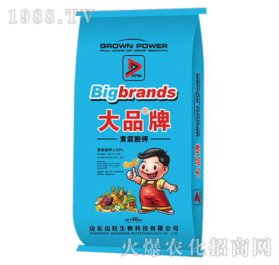 �S����⛴�Ʒ��-ɽ������