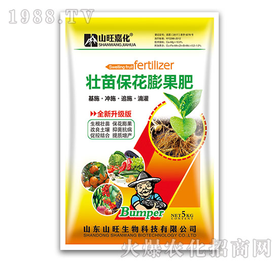 ���籣�������-ɽ������