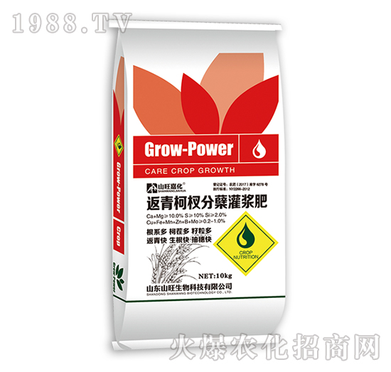 �����辷��Y���{�ʣ�10kg��-ɽ������