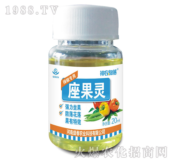 �����`���������ã�-���r(n��ng)����-ʢ���r(n��ng)�I(y��)