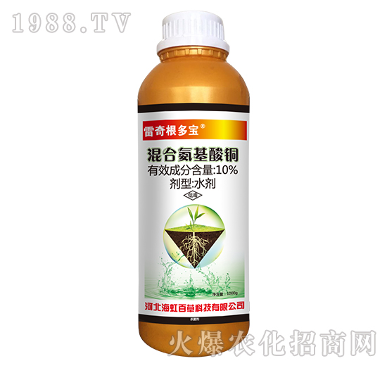 10%��ϰ������~-���������-����ٲ�