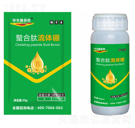 ���������w��-�A�Sʩ���S-�滯���h