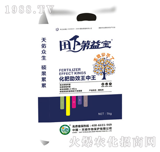 ���µ��挚-��T����