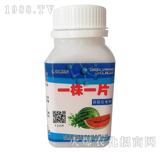 ����ό�(zhu��n)��-һ��һƬ