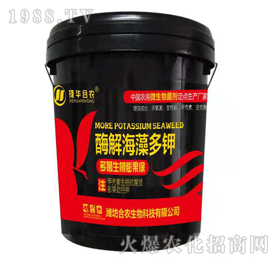 ø�⺣����-���A���r