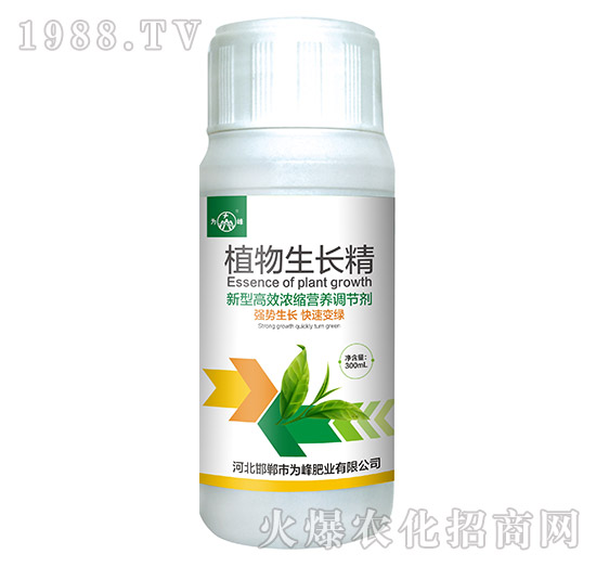 ֲ�����L(zh��ng)��-���