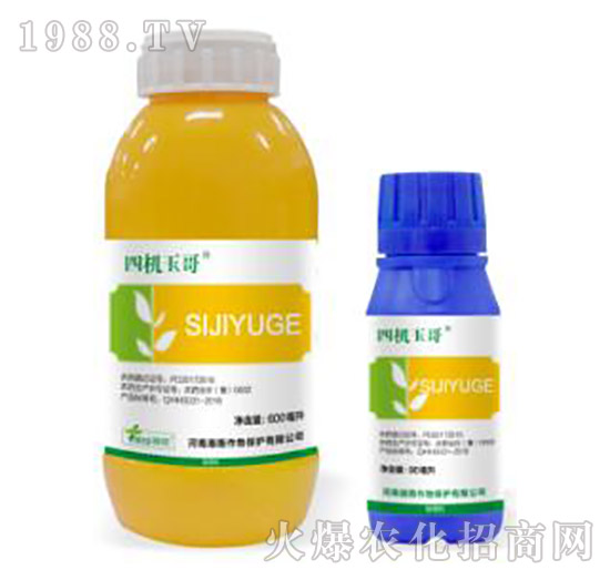 33%���ס�ݬ������-�ęC���-�˹����