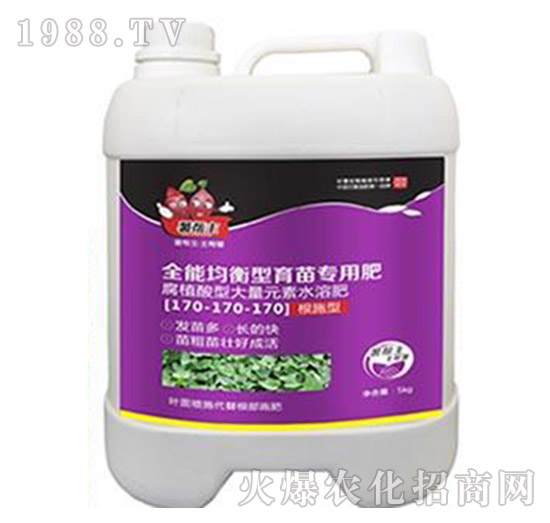 ȫ�ܾ��������猣�÷�170-170-170-�����-���A����