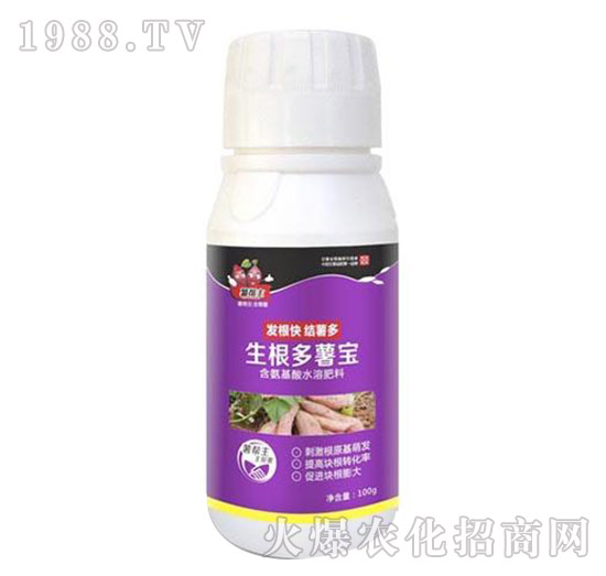 �������팚-�����-���A����(l��)