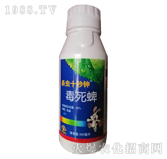 45%������-���xʮ���-�W�ρ�