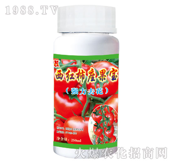 ���t��������������ȥ����-��������