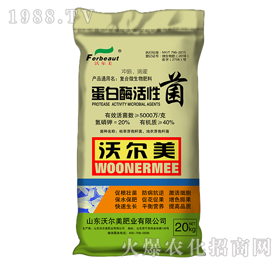 ����ø���Ծ�-�֠���