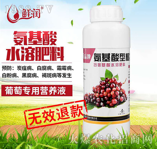 ���ь���-�r��Ʒ�ư�������ֲ��I�B(y��ng)Һ-�r������