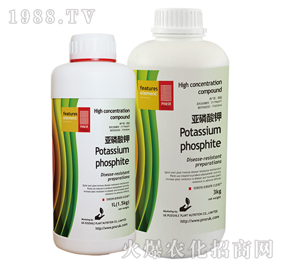 �������-ꖹ�G��