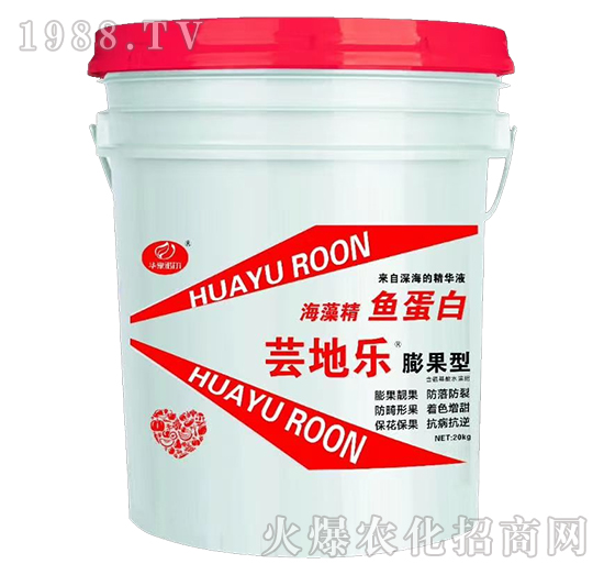 ����ͺ��徫�~����-�|�ؘ�-�Z��