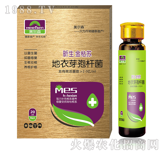 �������K���M�ϣ�-����ɭ