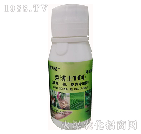 �˲�ʿ100���߲����������܌��ã�-���Ƀ�(y��u)-��Ɔ���