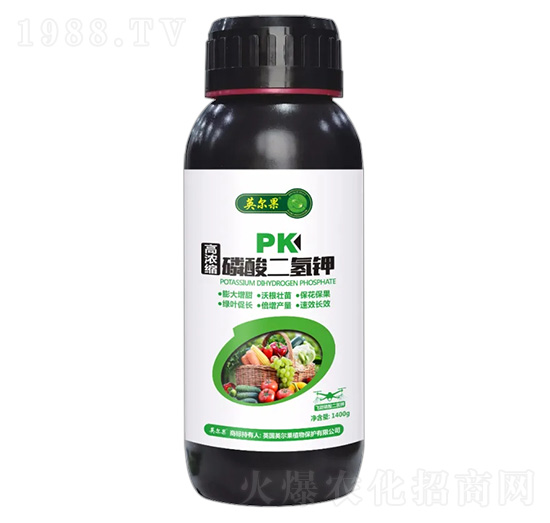 �ߝ�s��������-Ӣ����