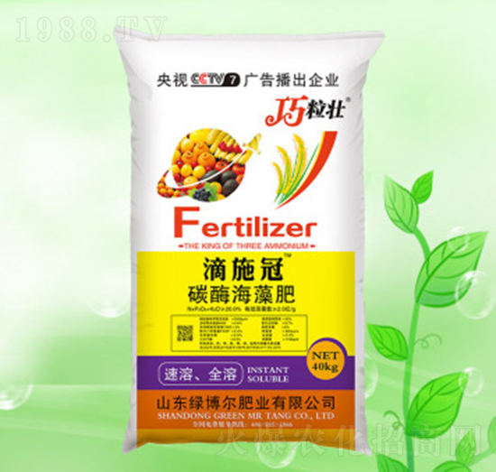 ̼ø�����-��ʩ��-�G�����ʘI(y��)