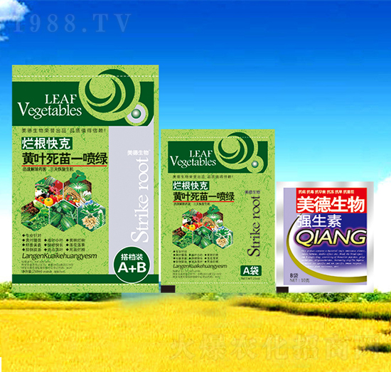 ��������S�~����һ���G-��������