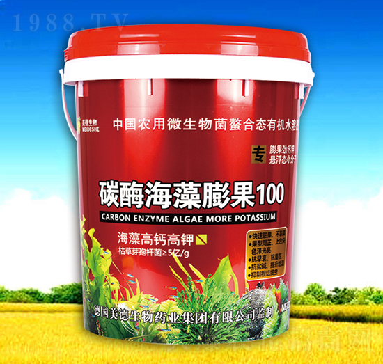 ̼ø�������100-��������