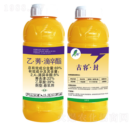 69%�ҡ�ݬ������֬-���ݡ���-����