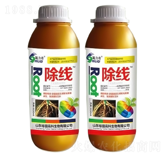 ����-ʩ����-ԣ��߿�