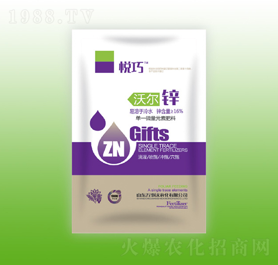 �֠��\-����-�f(w��n)���_(d��)