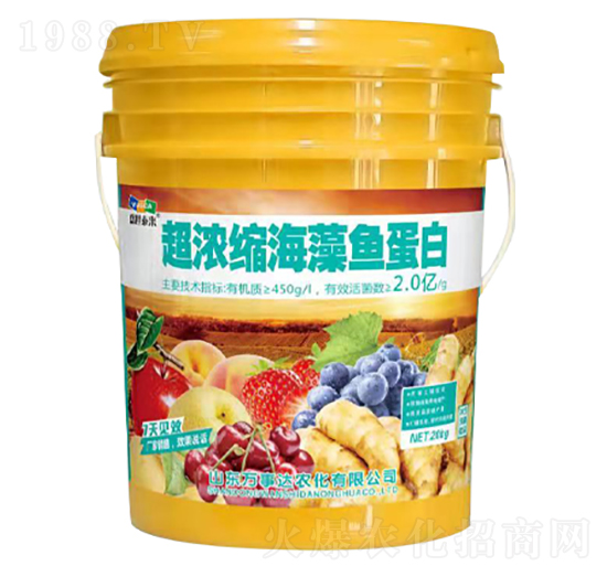 20kg����s�����~����-�f���_