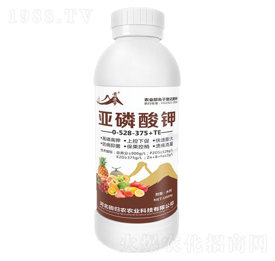 �������0-528-375+TE-�S����-��w�r(n��ng)