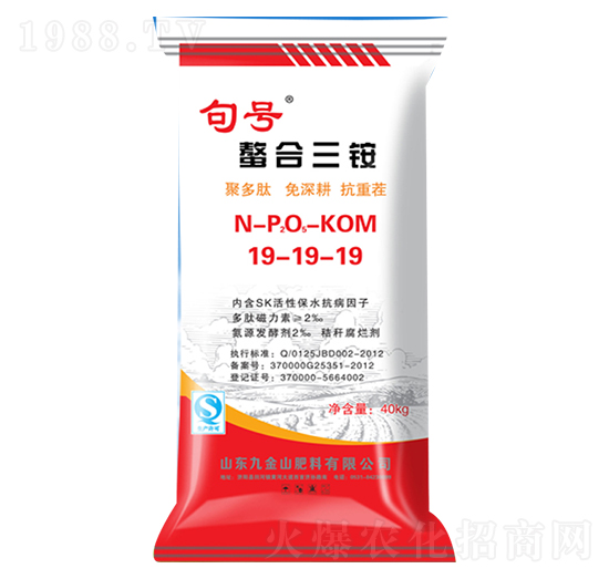 �������@19-19-19-���D