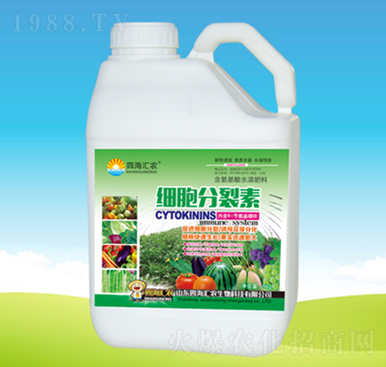 ��(x��)��������-�ĺ��R�r(n��ng)