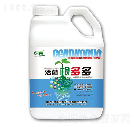 ��������-�G��-��������