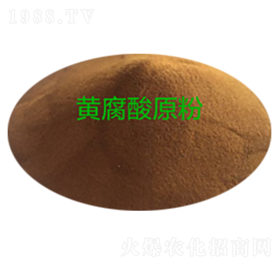 �S�����ԭ��-�P����