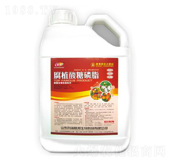 ��ֲ������֬-�ƺ���