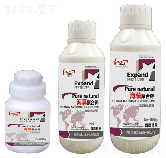 ƿ�b����ۺ��-����ʩ