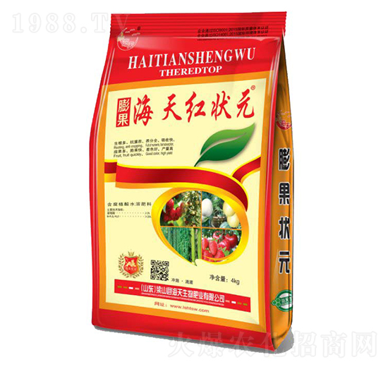 ����t��Ԫ-��������