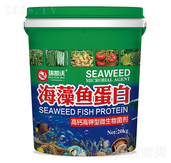 �����~����-���Wɭ